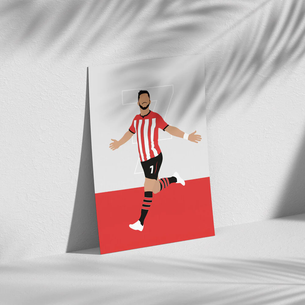 Shane Long - Southampton - Image 4